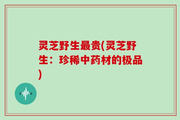 灵芝野生最贵(灵芝野生:珍稀中药材的极品)