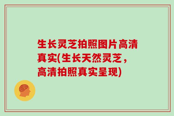 生长灵芝拍照图片高清真实(生长天然灵芝，高清拍照真实呈现)