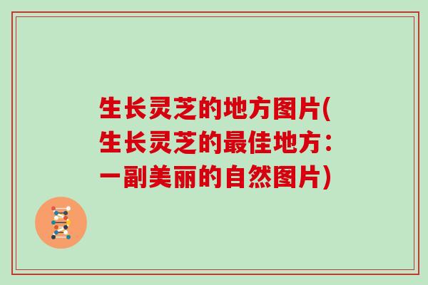 生长灵芝的地方图片(生长灵芝的最佳地方:一副美丽的自然图片)