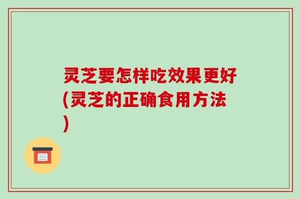 灵芝要怎样吃效果更好(灵芝的正确食用方法)