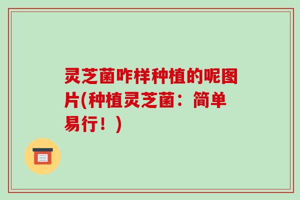 灵芝菌咋样种植的呢图片(种植灵芝菌：简单易行！)