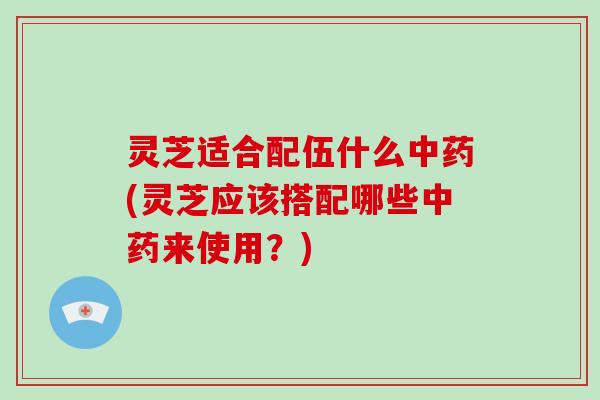 灵芝适合配伍什么中药(灵芝应该搭配哪些中药来使用?)
