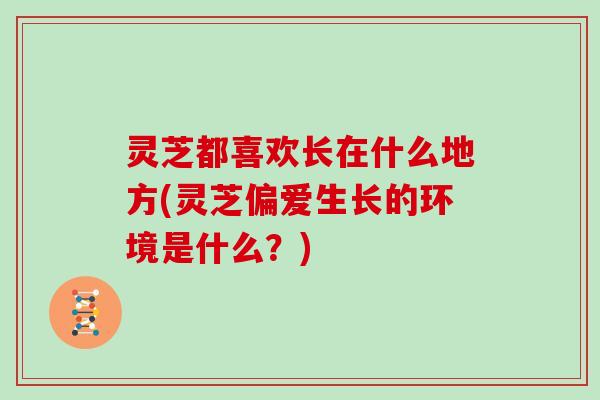 灵芝都喜欢长在什么地方(灵芝偏爱生长的环境是什么？)