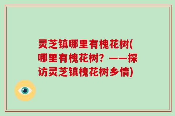 灵芝镇哪里有槐花树(哪里有槐花树？——探访灵芝镇槐花树乡情)