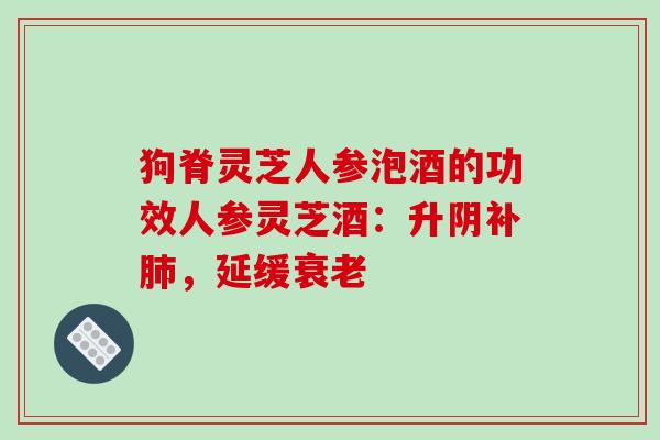 狗脊灵芝人参泡酒的功效人参灵芝酒：升阴补肺，延缓衰老