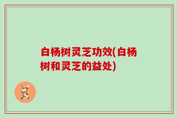 白杨树灵芝功效(白杨树和灵芝的益处)