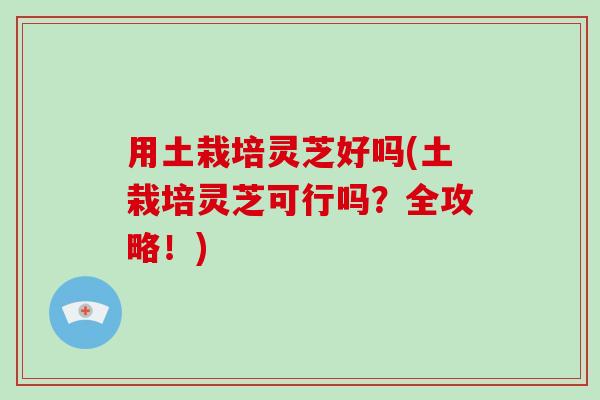 用土栽培灵芝好吗(土栽培灵芝可行吗?全攻略!)