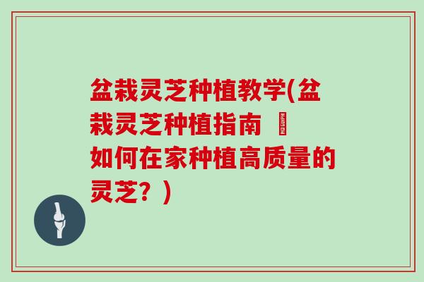 盆栽灵芝种植教学(盆栽灵芝种植指南 – 如何在家种植高质量的灵芝?)