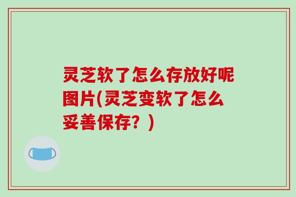 灵芝软了怎么存放好呢图片(灵芝变软了怎么妥善保存?)