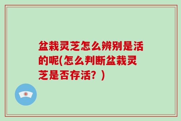 盆栽灵芝怎么辨别是活的呢(怎么判断盆栽灵芝是否存活?)