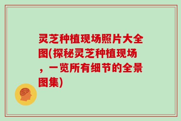 灵芝种植现场照片大全图(探秘灵芝种植现场,一览所有细节的全景图集)