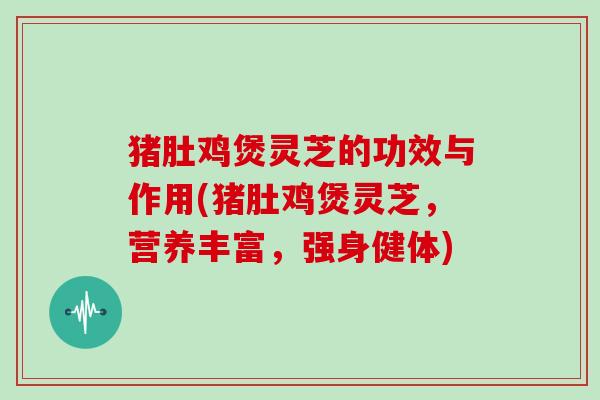 猪肚鸡煲灵芝的功效与作用(猪肚鸡煲灵芝,营养丰富,强身健体)