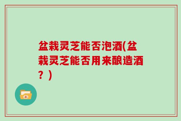 盆栽灵芝能否泡酒(盆栽灵芝能否用来酿造酒?)