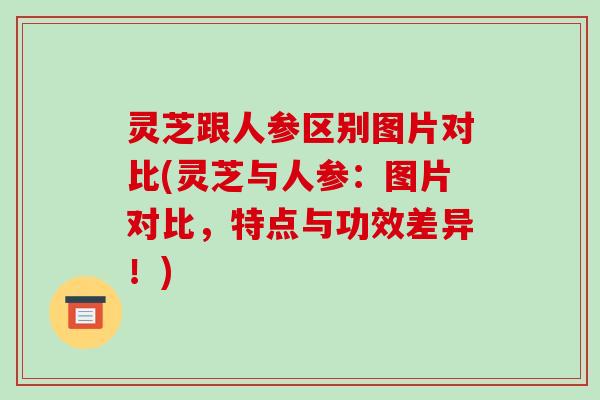 灵芝跟人参区别图片对比(灵芝与人参:图片对比,特点与功效差异!)