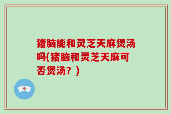 猪脑能和灵芝天麻煲汤吗(猪脑和灵芝天麻可否煲汤?)