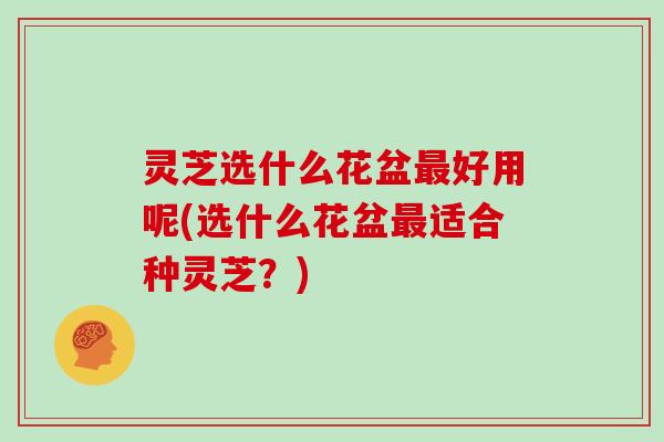 灵芝选什么花盆最好用呢(选什么花盆最适合种灵芝？)