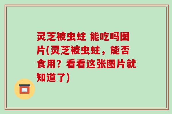 灵芝被虫蛀 能吃吗图片(灵芝被虫蛀,能否食用?看看这张图片就知道了)