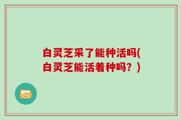 白灵芝采了能种活吗(白灵芝能活着种吗?)