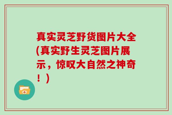 真实灵芝野货图片大全(真实野生灵芝图片展示，惊叹大自然之神奇！)