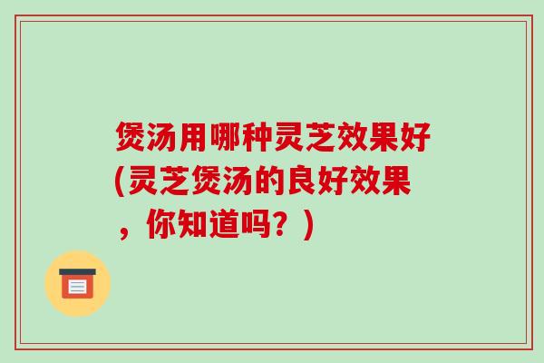 煲汤用哪种灵芝效果好(灵芝煲汤的良好效果,你知道吗?)