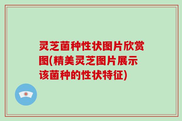 灵芝菌种性状图片欣赏图(精美灵芝图片展示该菌种的性状特征)