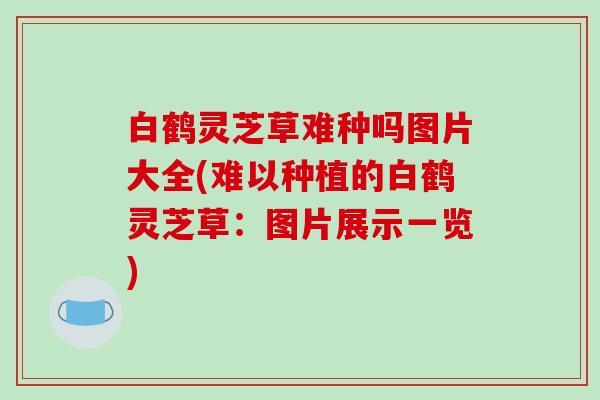 白鹤灵芝草难种吗图片大全(难以种植的白鹤灵芝草:图片展示一览)