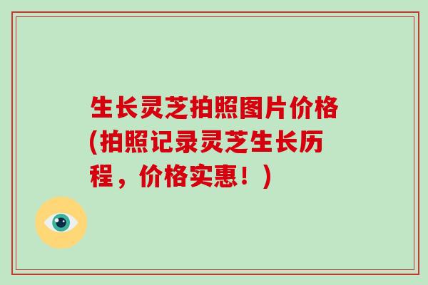 生长灵芝拍照图片价格(拍照记录灵芝生长历程,价格实惠!)