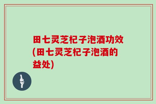 田七灵芝杞子泡酒功效(田七灵芝杞子泡酒的益处)