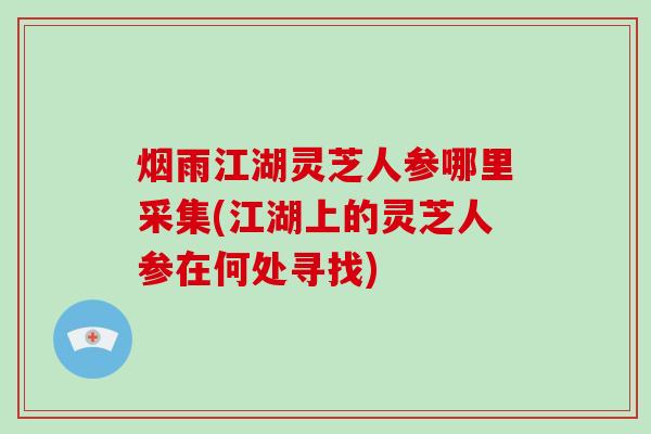 烟雨江湖灵芝人参哪里采集(江湖上的灵芝人参在何处寻找)