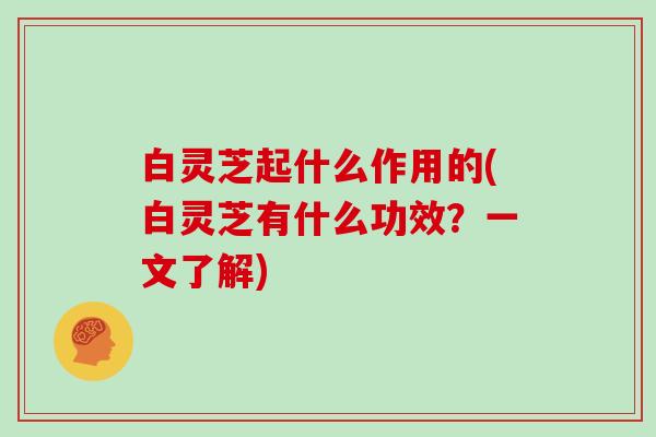 白灵芝起什么作用的(白灵芝有什么功效?一文了解)