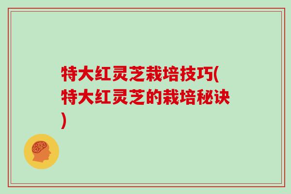 特大红灵芝栽培技巧(特大红灵芝的栽培秘诀)