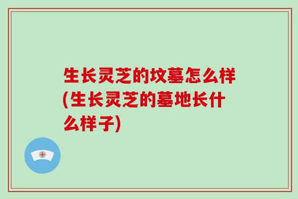 生长灵芝的坟墓怎么样(生长灵芝的墓地长什么样子)