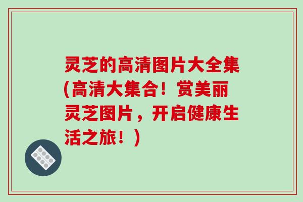 灵芝的高清图片大全集(高清大集合!赏美丽灵芝图片,开启健康生活之旅!)