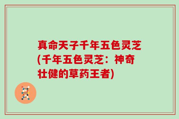 真命天子千年五色灵芝(千年五色灵芝:神奇壮健的草药王者)