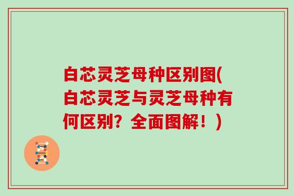 白芯灵芝母种区别图(白芯灵芝与灵芝母种有何区别?全面图解!)