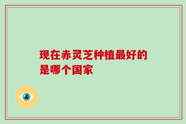 现在赤灵芝种植最好的是哪个国家