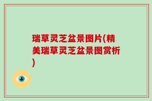 瑞草灵芝盆景图片(精美瑞草灵芝盆景图赏析)