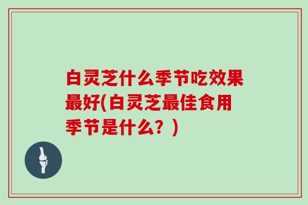 白灵芝什么季节吃效果最好(白灵芝最佳食用季节是什么?)