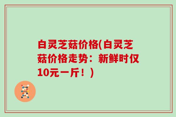 白灵芝菇价格(白灵芝菇价格走势:新鲜时仅10元一斤!)