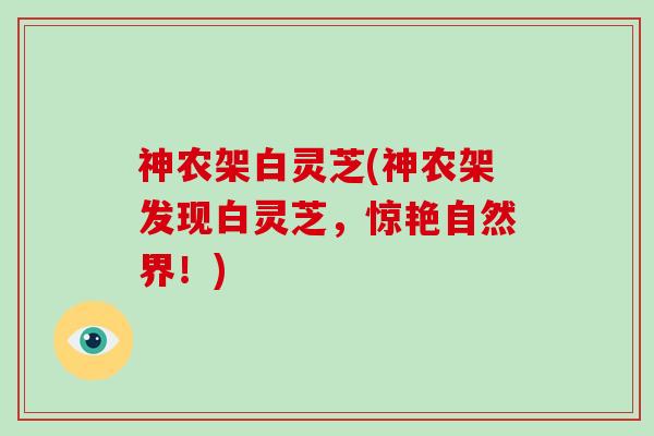神农架白灵芝(神农架发现白灵芝,惊艳自然界!)