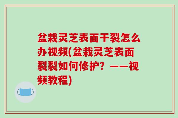盆栽灵芝表面干裂怎么办视频(盆栽灵芝表面裂裂如何修护?——视频教程)