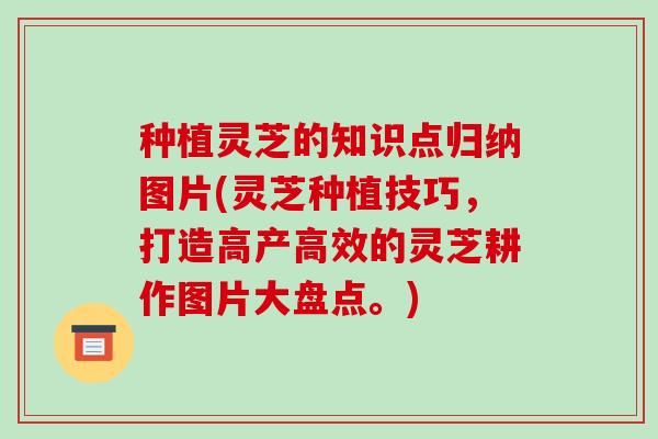 种植灵芝的知识点归纳图片(灵芝种植技巧,打造高产高效的灵芝耕作图片大盘点。)