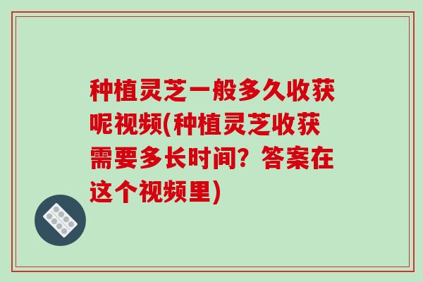 种植灵芝一般多久收获呢视频(种植灵芝收获需要多长时间?答案在这个视频里)
