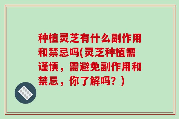 种植灵芝有什么副作用和禁忌吗(灵芝种植需谨慎,需避免副作用和禁忌,你了解吗?)