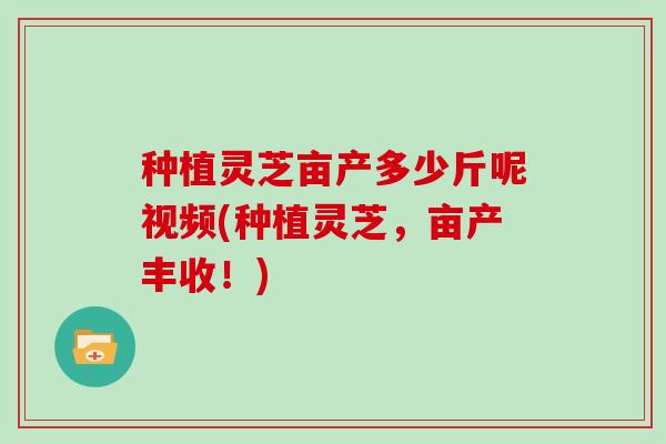 种植灵芝亩产多少斤呢视频(种植灵芝,亩产丰收!)