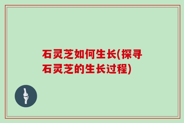 石灵芝如何生长(探寻石灵芝的生长过程)