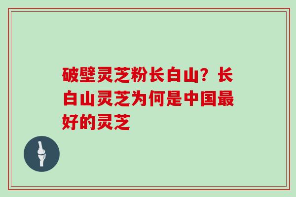 破壁灵芝粉长白山?长白山灵芝为何是中国最好的灵芝