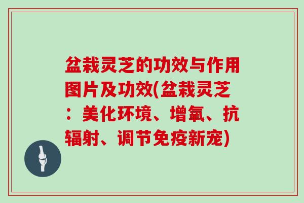 盆栽灵芝的功效与作用图片及功效(盆栽灵芝:美化环境、增氧、抗辐射、调节免疫新宠)