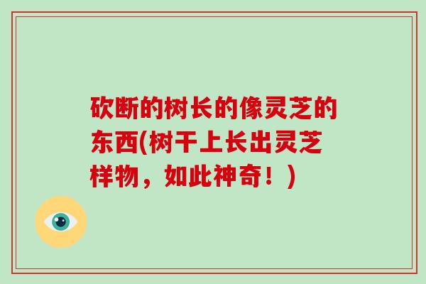 砍断的树长的像灵芝的东西(树干上长出灵芝样物,如此神奇!)