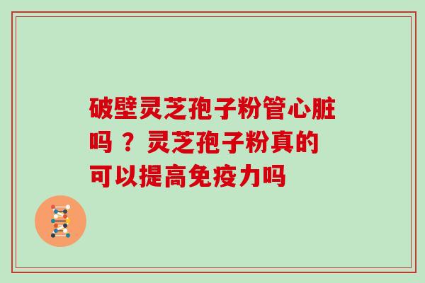 破壁灵芝孢子粉管心脏吗 ？灵芝孢子粉真的可以提高免疫力吗